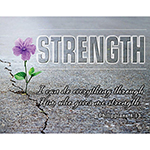 ƥ  Strength DE-MS2438