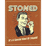 ƥ  Special Kind of Stupid DE-MS2589