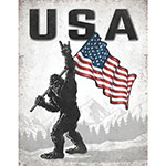 ƥ  USA Sasquatch DE-MS2677