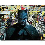 ƥ  Batman-Collage DE-MS2935