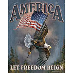 ƥ  AMERICA LET FREEDOM REIGN DE-MS1668