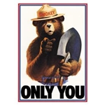 ƥ  SMOKEY BEAR ONLY YOU DE-MS834