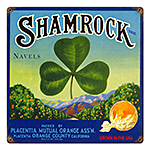 ƥ  V-521 Shamrock