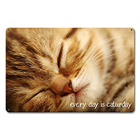 ƥ  Every Day Caturday PT-PTSB-432