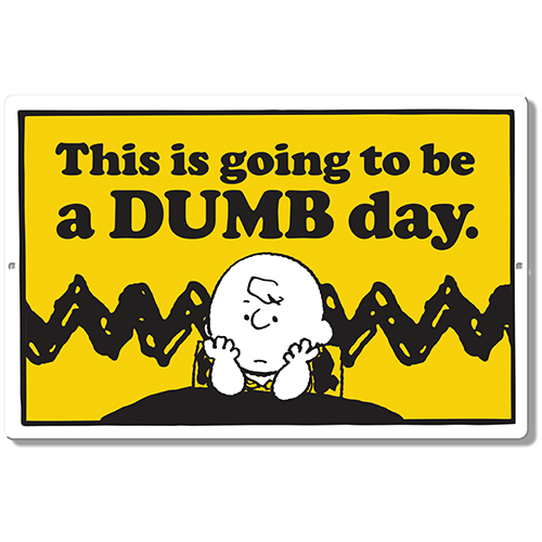 ߥ˥  Peanuts Charlie Brown DE-MS2774