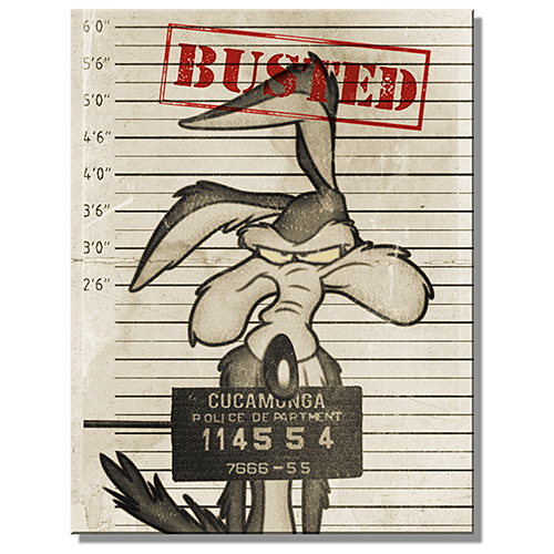 ƥ  Looney Tunes Bustedl DE-MS7211