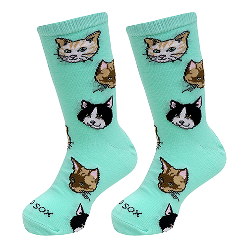 ODD SOXʥå åKIDS CATS