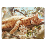DINERޥåȡ䡡ʡޥåȡCAT-4