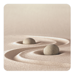 SAKEޥåȡ䡡ZEN-1