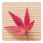 С 䡡ա2祻å