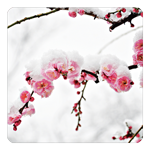 С 䡡ߡ2祻å